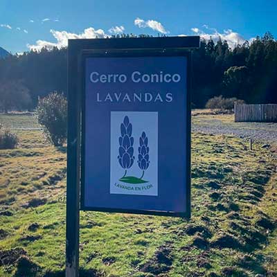 Visita Guiada
